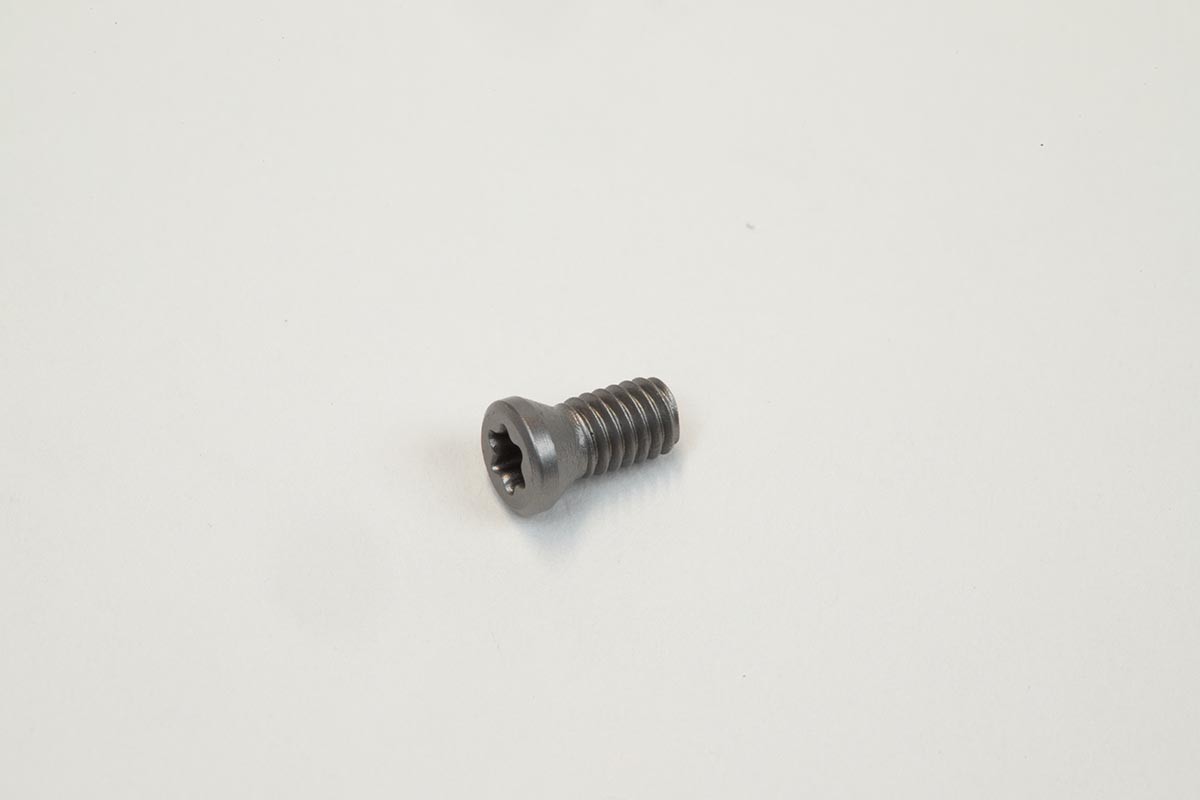 FTKA02555 Insert Screw - Pack of 5